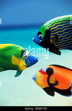 Colorfully dipinte a mano di pesci tropicali sulle Maldive nell Oceano indiano Foto Stock