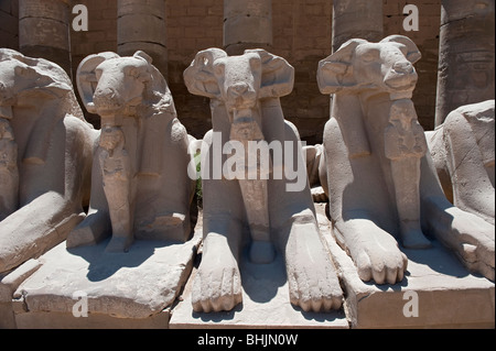 Sfingi dalla testa d'ariete nel grande piazzale antistante, Tempio di Karnak complessa Foto Stock