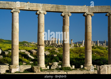 Le rovine romane di Jerash in primavera, Giordania Foto Stock
