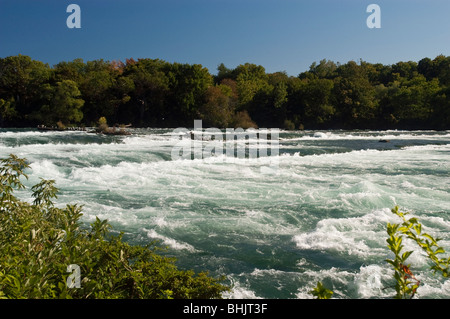 Fiume Niagara acqua bianca appena prima di Niagara Falls, NY, STATI UNITI D'AMERICA Foto Stock