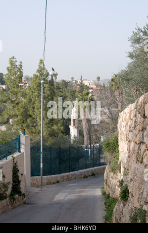 Israele, Gerusalemme, Ein Kerem (anche Ein Karem), il tradizionale luogo di nascita di Giovanni il Battista. Foto Stock