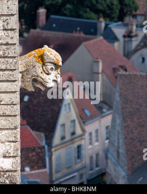 Chartres, Francia - La Cattedrale di Notre Dame, il Gargoyle, Dettagli architettonici, Close up Foto Stock