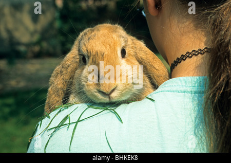 Coniglio essendo portati in giro su una ragazza della spalla Foto Stock