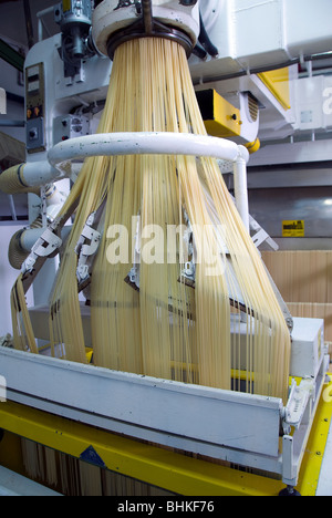 Conduzione familiare e fabbrica di pasta alimentare in Lari, Italia: Martelli Famiglia di pastai Foto Stock