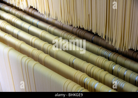 Conduzione familiare e fabbrica di pasta alimentare in Lari, Italia: Martelli Famiglia di pastai Foto Stock