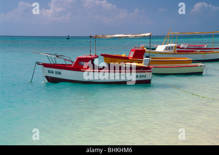 Tradizionale colorate barche da pesca, Aruba Foto Stock