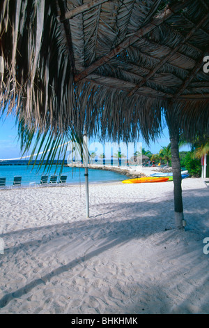 Spiaggia Vista da sotto la palapa, Aruba Foto Stock