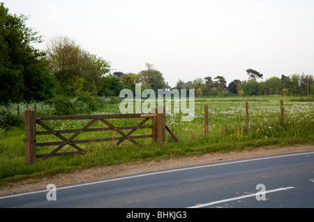 Cinque bar porta in un campo pieno di tarassaco orologi nella periferia di Ramsgate Kent, Regno Unito Foto Stock