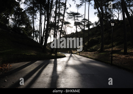 Boscombe Chine gardens Foto Stock