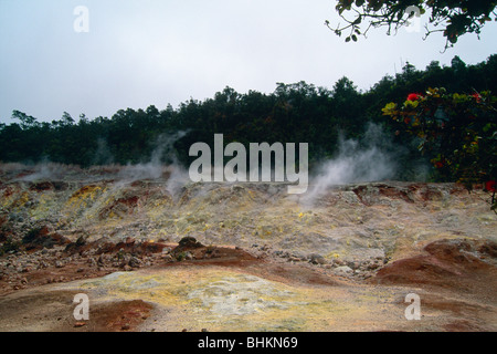 Cottura a vapore di banche di zolfo, Parco Nazionale Vulcani, Big Island delle Hawaii, Foto Stock