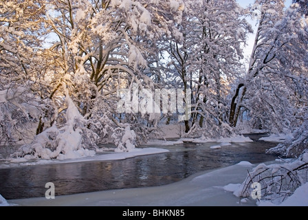 Il fiume Nethy in inverno con neve giacente Foto Stock