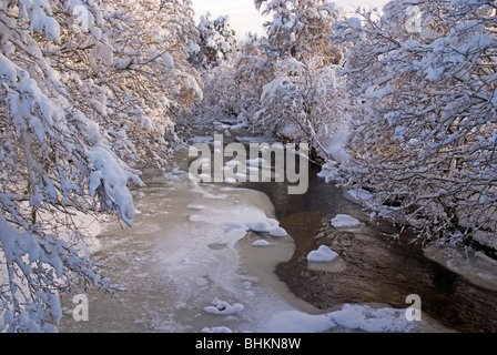 Il fiume Nethy in inverno con neve giacente Foto Stock