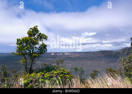 Vista panoramica del Vulcano Kilauea Caldera, Big Island delle Hawaii, Foto Stock