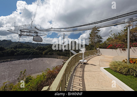 Radio Telescope vista dal ponte di osservazione, Arecibo, Puerto Rico Foto Stock