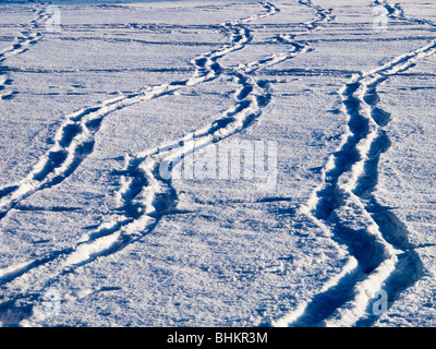 Una coperta di neve paesaggio rurale in campagna Foto Stock