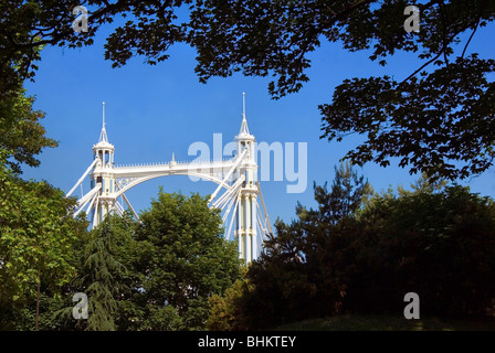 Dettaglio del Prince Albert bridge da Battersea Park Foto Stock