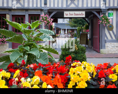 Beuvron-en-Auge, Normandia, Francia. Ingresso al cortile della tradizionale in muratura, hotel fiori colorati in primo piano. Foto Stock