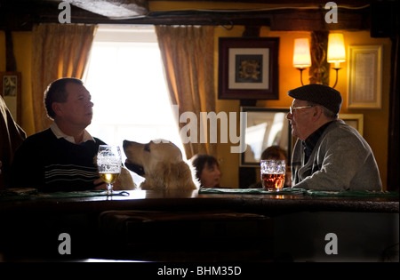 Pub Inglese. Due uomini e un cane di godere dei loro pinte di birra in un tipico pub inglese presso il cigno, Thaxted, Essex, Inghilterra, Regno Unito. Foto Stock