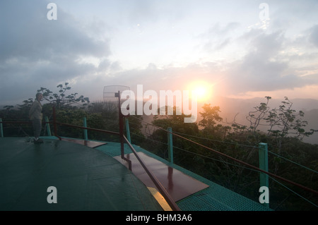 Panama Torre tettoia Alba sul Parco Nazionale di Soberania Foto Stock