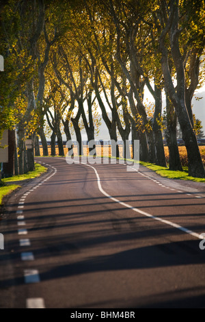 Cote de Beaune vigneto in autunno, Cote d'Or, Borgogna, Francia Foto Stock