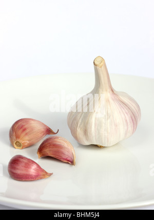 Tutta la testa di aglio con tre chiodi di garofano di aglio sulla piastra bianca su sfondo bianco. Foto Stock