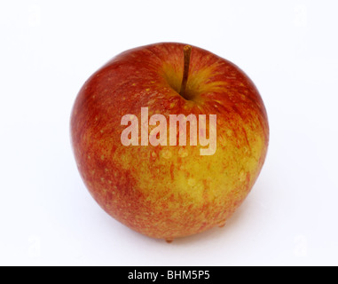 Mature, fresche, succosa, dolce inglese apple con gocce di acqua su uno sfondo bianco. Foto Stock