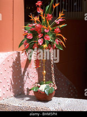 Fiori tropicali, Phuket, Provincia di Phuket, Tailandia Foto Stock