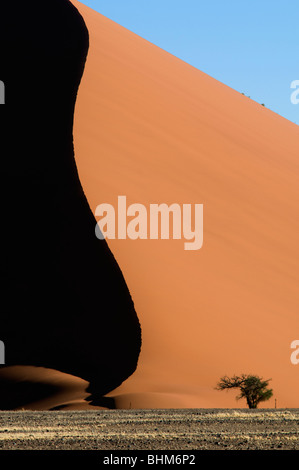 Gemsbok acceso tra alte dune del deserto del Namib. Orix antilopi Foto Stock