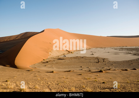 Rosso 'star' dune nel deserto del Namib, Namibia, Africa. A forma di S ombra. Alberi a secco. Hidden Vlei, Sesriem Foto Stock