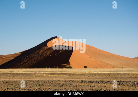 Rosso 'star' dune nel deserto del Namib, Namibia, Africa. A forma di S ombra. Alberi a secco. Panorama. Paesaggio. Foto Stock