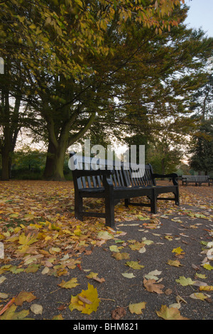 Un vuoto di una panchina nel parco in un parco in autunno Foto Stock