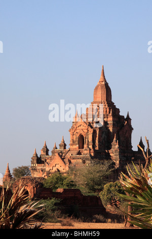 Myanmar Birmania, Bagan, Tayok Pye Pagoda; Foto Stock