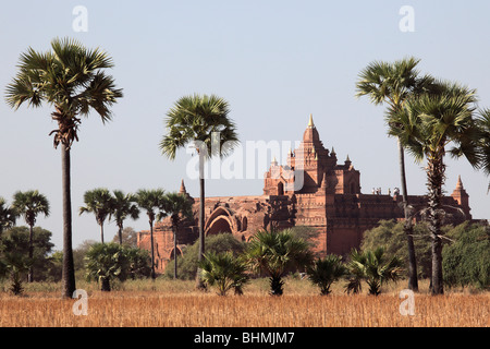 Myanmar Birmania, Bagan, Pyathada Pagoda; Foto Stock