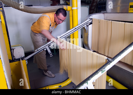 Conduzione familiare e fabbrica di pasta alimentare in Lari, Italia: Martelli Famiglia di pastai Foto Stock