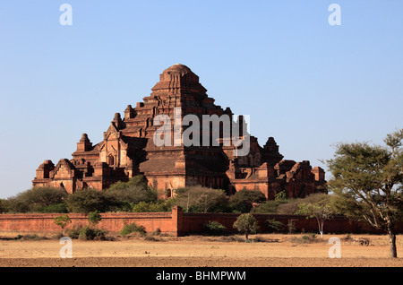 Myanmar Birmania, Bagan, Dhammayangyi tempio, Foto Stock