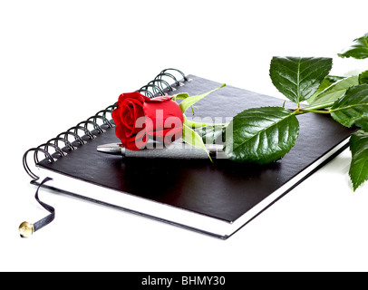 Rosa rossa sul notebook, isolato su sfondo bianco Foto Stock