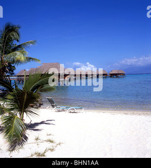 Vista delle cabine oltre mare, Hotel Sofitel, Moorea, Polinesia Francese Tahiti Foto Stock