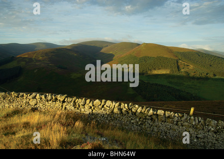 Guardando attraverso Glensax verso altezze Hundleshope, Preston diritto e Newby Kipps da Kailzie collina vicino a Peebles, Scottish Borders Foto Stock