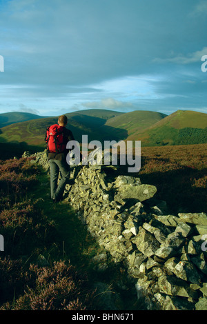 Guardando attraverso Glensax verso altezze Hundleshope, Preston diritto e Newby Kipps da Kailzie collina vicino a Peebles, Scottish Borders Foto Stock