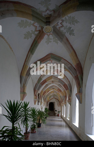Stiski ( Sticna) Monastero,stabilito nel 1136,monastero cistercense,chiostro gotico,Slovenia Foto Stock