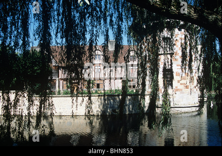 Vista attraverso gli alberi di salice di Chateau de St-Germain-de-livet, Lisieux, Normandia, Francia Foto Stock