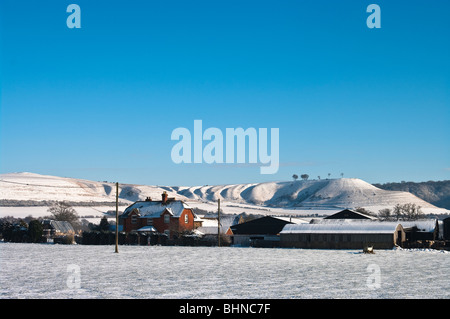 Un Gennaio Wiltshire paesaggio con North Wessex Downs ricoperta di neve Foto Stock