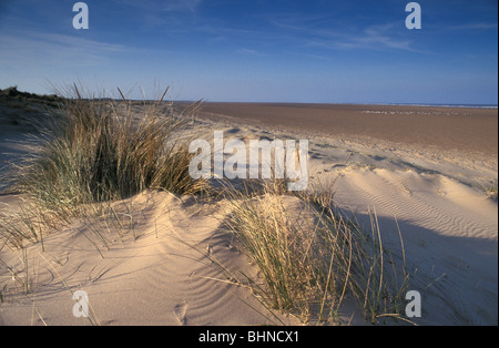 Le dune di sabbia e spiaggia a Saltfleetby Theddlethorpe Riserva Naturale Nazionale Lincolnshire Foto Stock