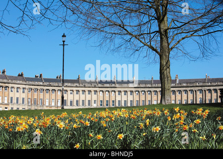 Il Royal Crescent in primavera con i narcisi, bagno. Il Somerset, Inghilterra Foto Stock