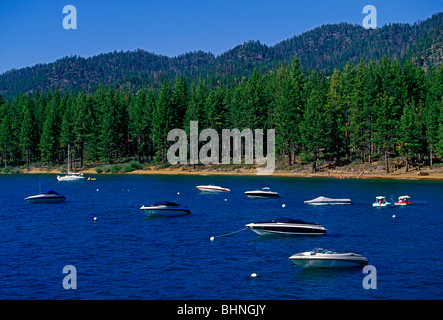 Barche in marina, Zephyr Cove, Lake Tahoe, Douglas County, Nevada, Stati Uniti, America del Nord Foto Stock