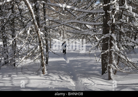 Escursioni con le racchette da neve nel Vallon de Caramagne, vicino tende, Mercantour Alpi, Francia Foto Stock