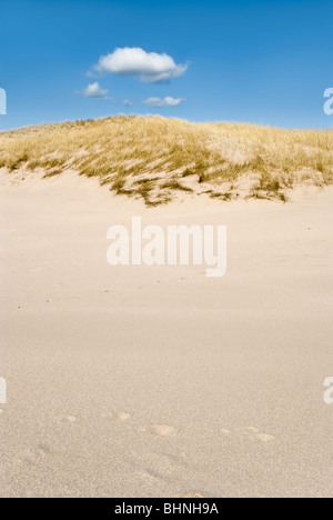 Le dune di sabbia di Sandwood Bay Scozia prese sulla giornata soleggiata con cielo blu Foto Stock