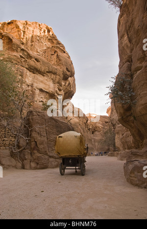 Carrello cavallo andando a prelevare i turisti in Petra, Giordania, Asia. Foto Stock