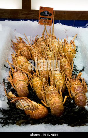 Visualizzazione di scampi - su ghiaccio - per la vendita in un supermercato francese. Foto Stock