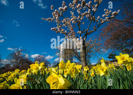 Altitudine 25, East Croydon luxury apartment building. Surrey, Regno Unito Foto Stock